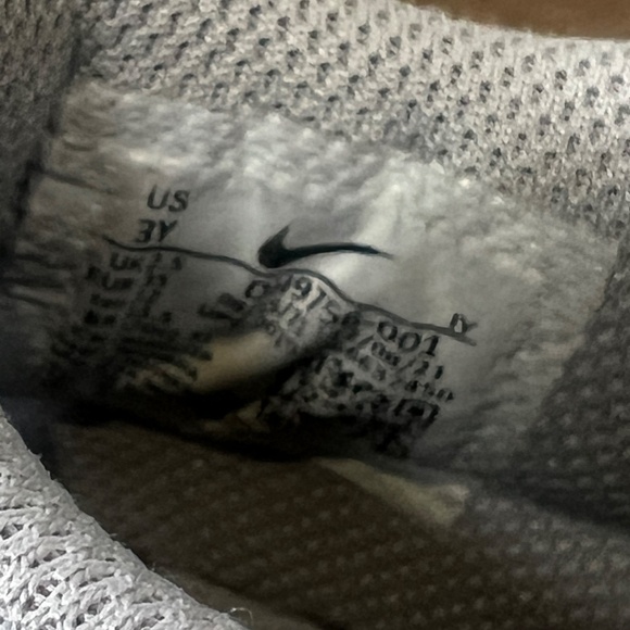 Nike Dunk Low PS Pure Platinum Wolf Gray Youth Sz 3 - Picture 8 of 9